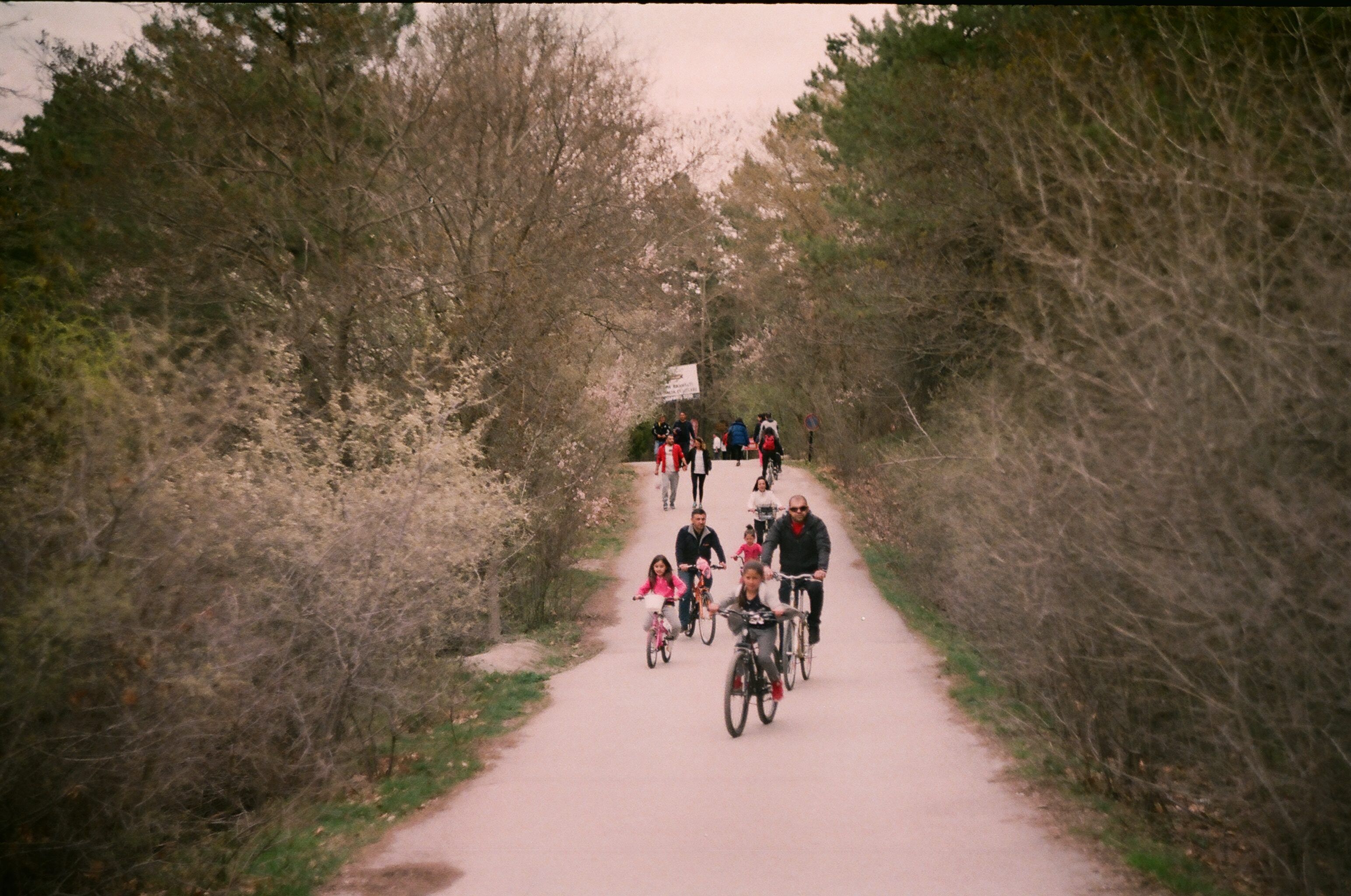 Groep fietsers op een landelijk fietspad tussen de bomen tijdens een korte fietsvakantie